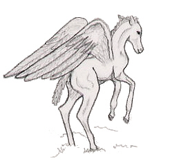 Pegasusfohlen